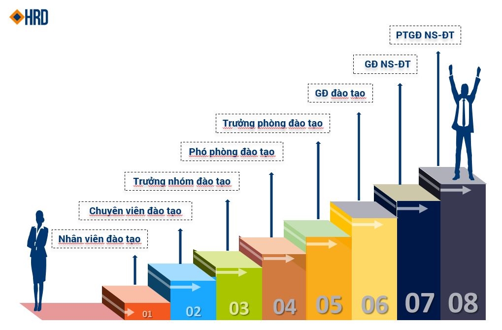 Minh họa quá trình phát triển nghề nghiệp của một huấn luyện viên